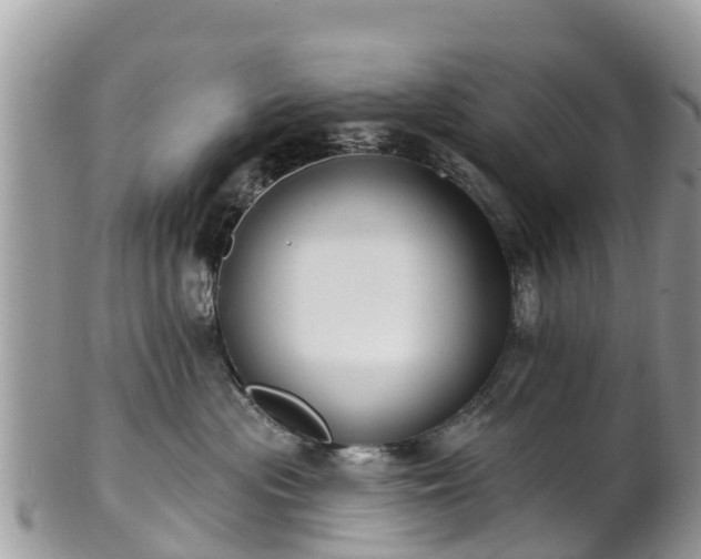 X0000101180477200807071249