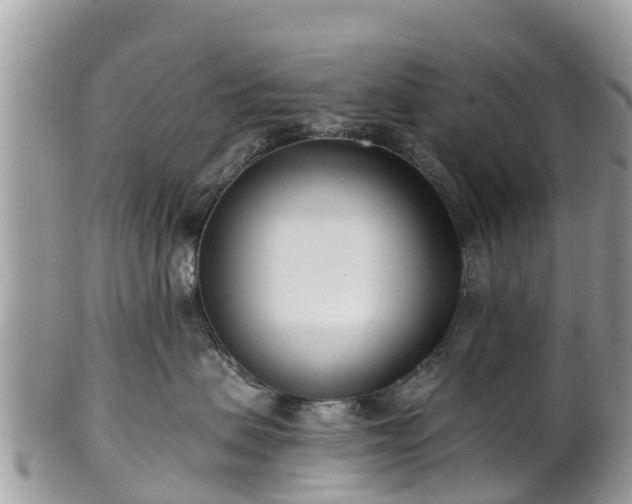 X0000101180479200807071249