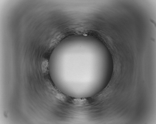 X0000101180480200807071250