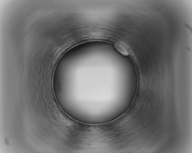 X0000101180481200807071249