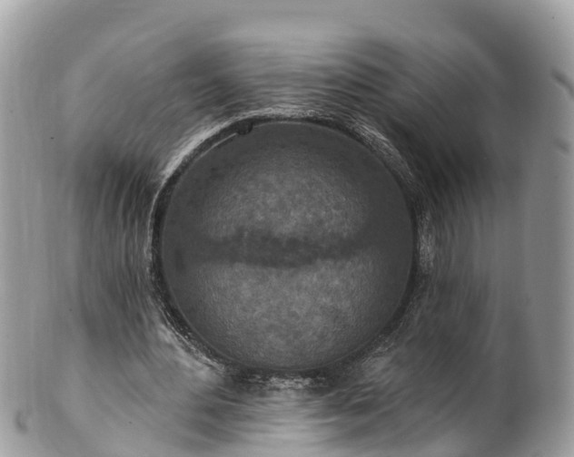 X0000101180484200807071249