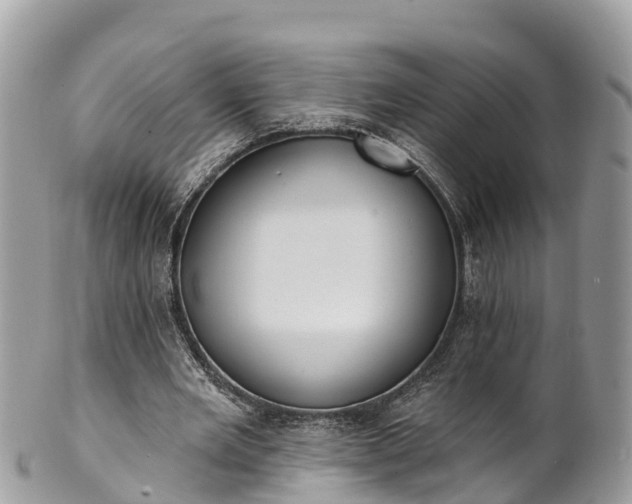 X0000101180485200807071249