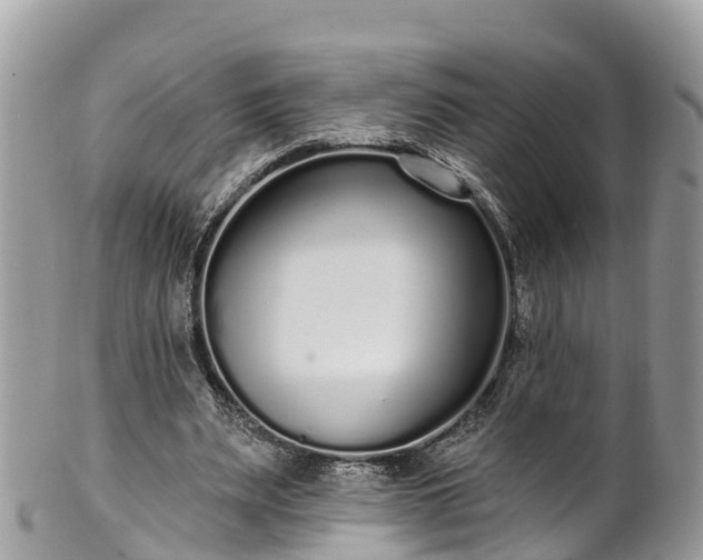 X0000101180487200807071249