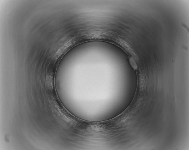 X0000101180489200807071249