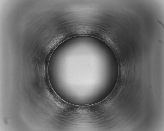 X0000101180490200807071249