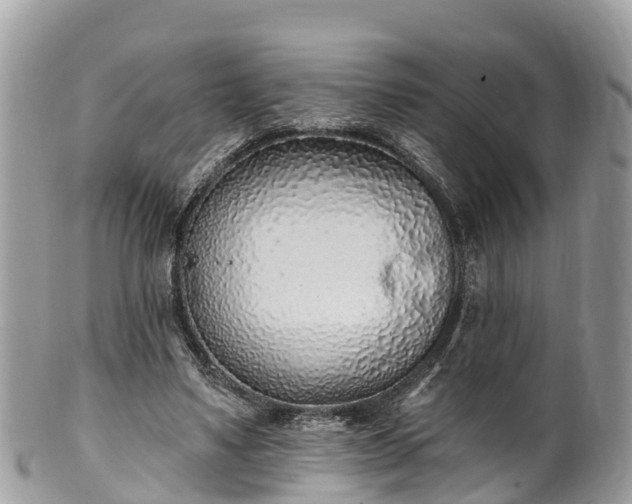X0000101180491200807071249