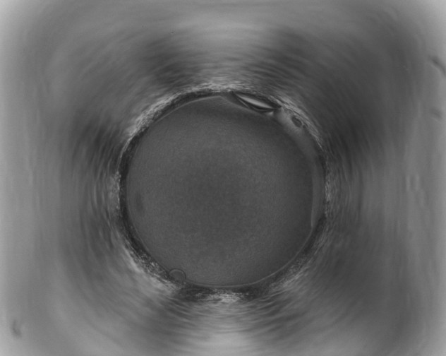 X0000101180492200807071249