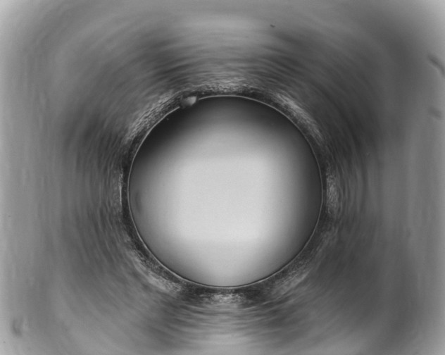 X0000101180493200807071248