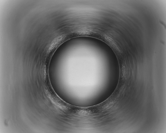X0000101180494200807071248