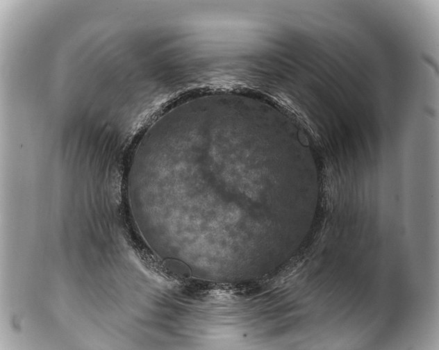 X0000101180496200807071248