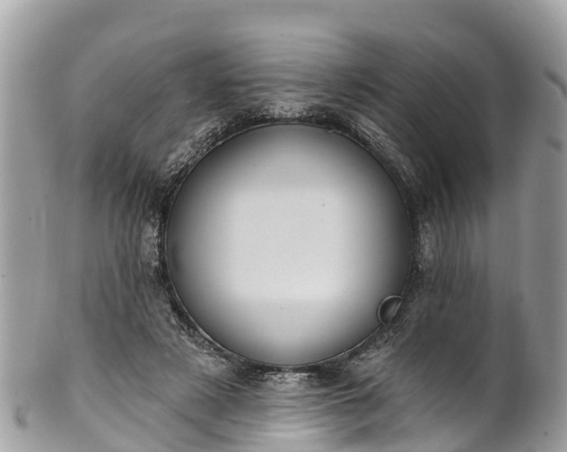 X0000101180497200807071248