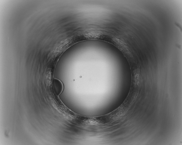 X0000101180498200807071248