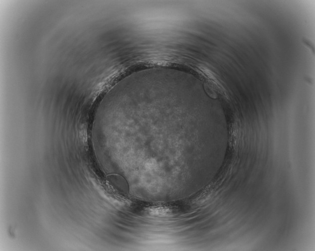 X0000101180500200807071248