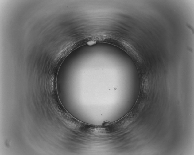 X0000101180501200807071248