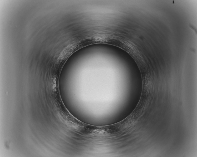 X0000101180502200807071248