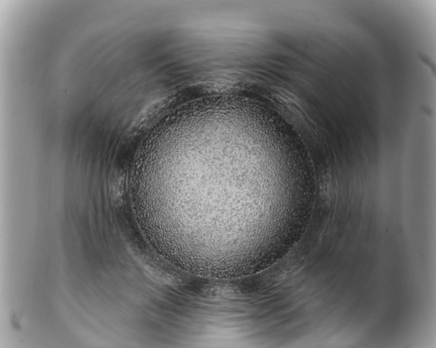 X0000101180503200807071248