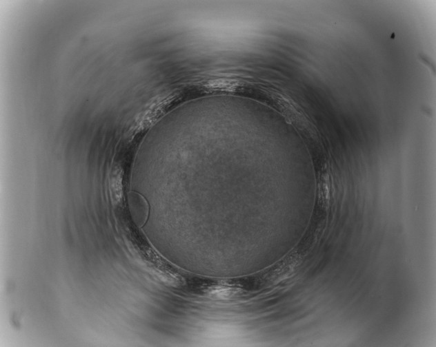 X0000101180504200807071248