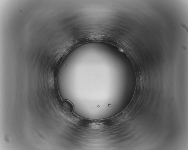 X0000101180508200807071248