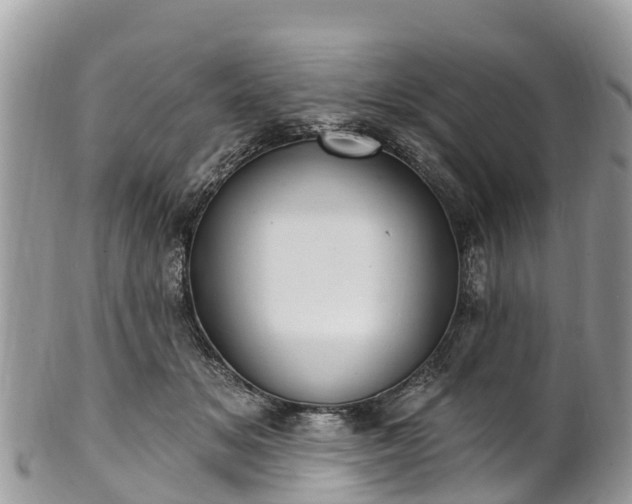 X0000101180509200807071248