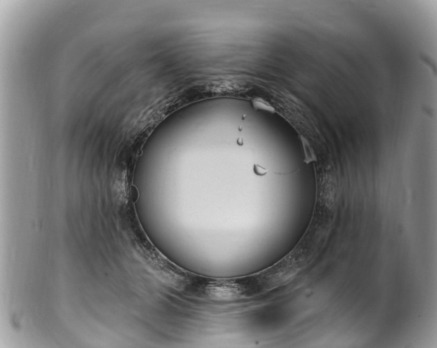 X0000101180510200807071248