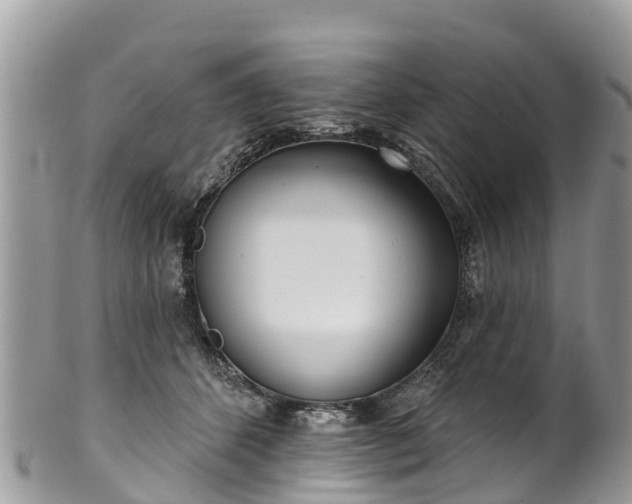 X0000101180512200807071248