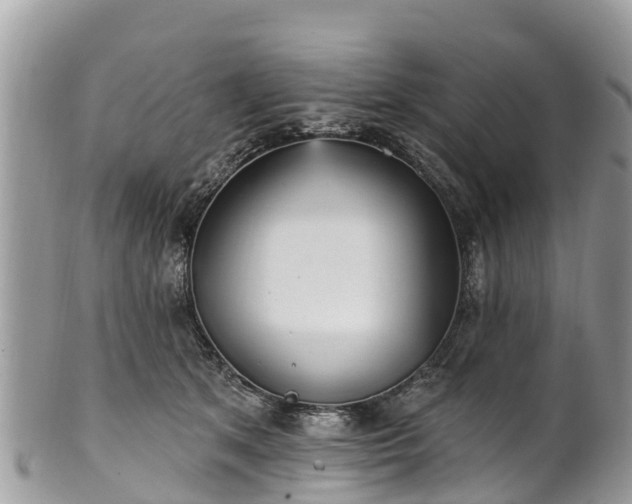 X0000101180513200807071248