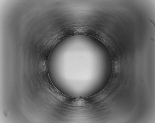 X0000101180514200807071248