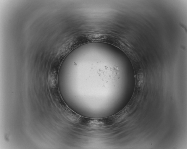 X0000101180515200807071248
