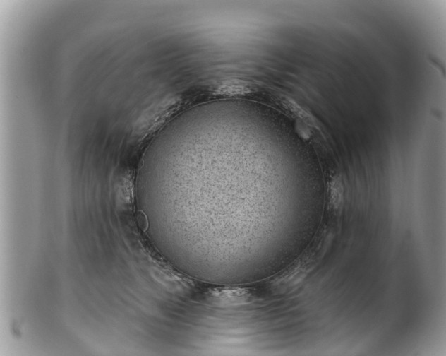 X0000101180517200807071248