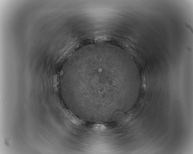 X0000101180519200807071248