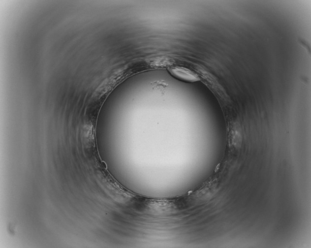X0000101180521200807071248