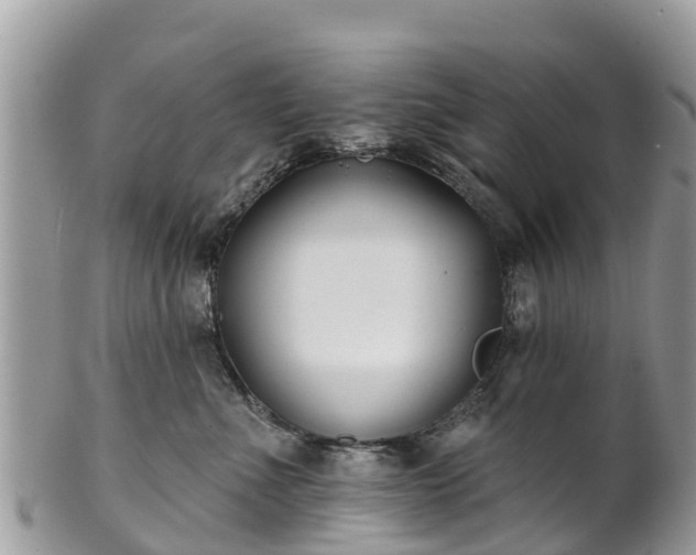 X0000101180523200807071248