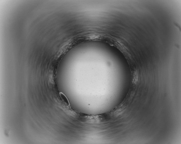 X0000101180524200807071248