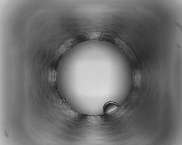 X0000101180525200807071248