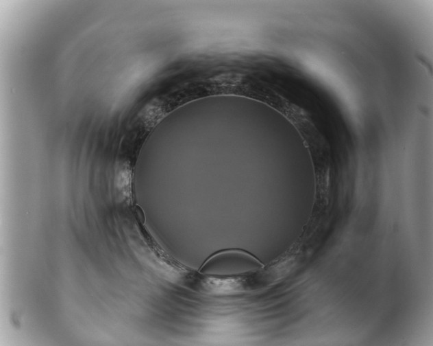 X0000101180526200807071248