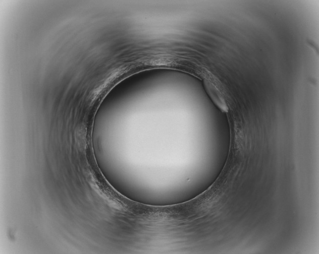 X0000101180530200807071247