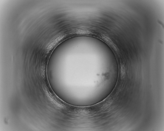 X0000101180533200807071247