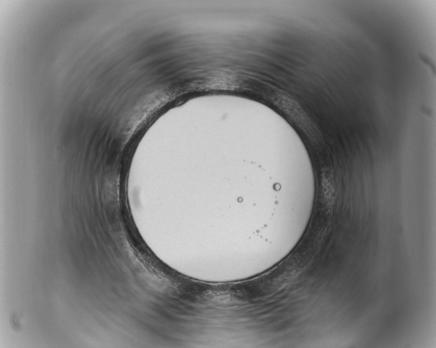 X0000101180534200807071247