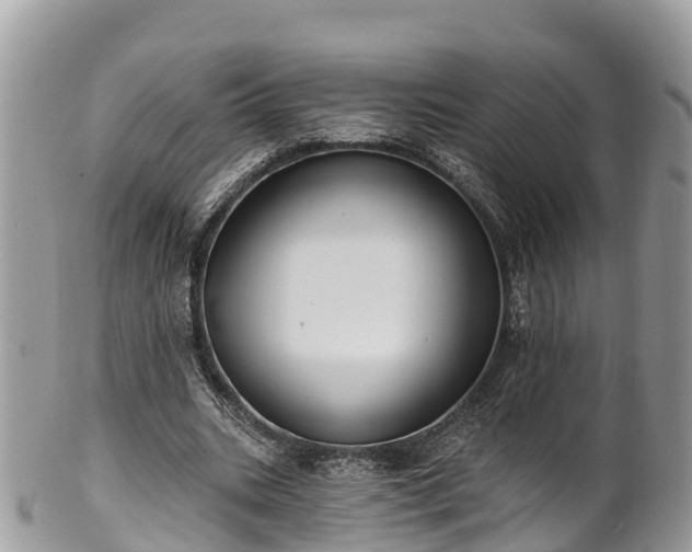 X0000101180535200807071247