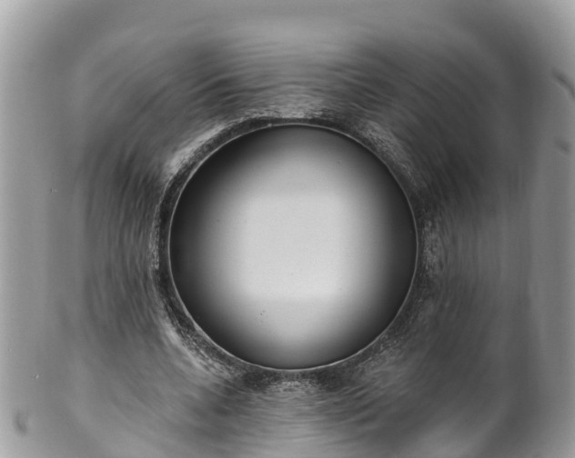 X0000101180536200807071247