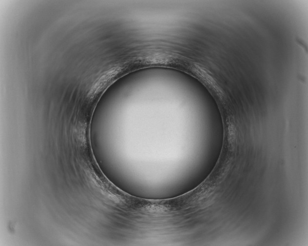 X0000101180537200807071247