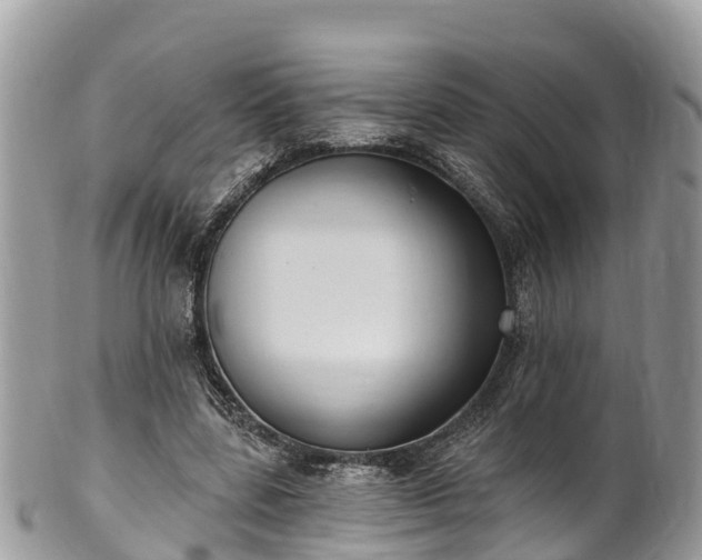 X0000101180539200807071247