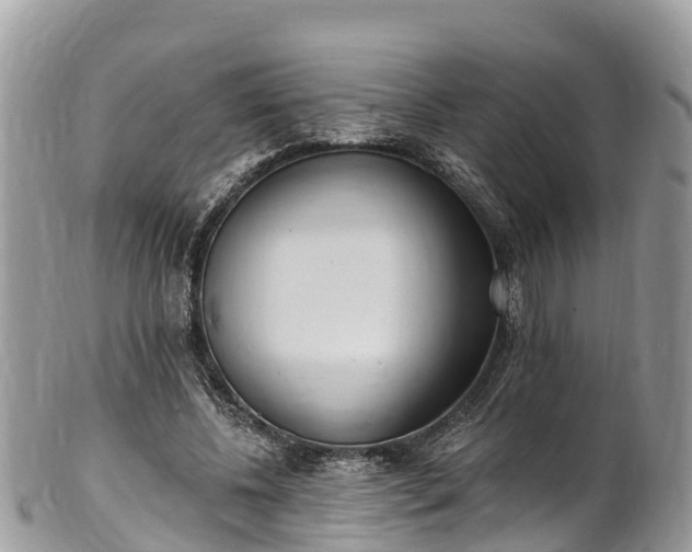 X0000101180540200807071247
