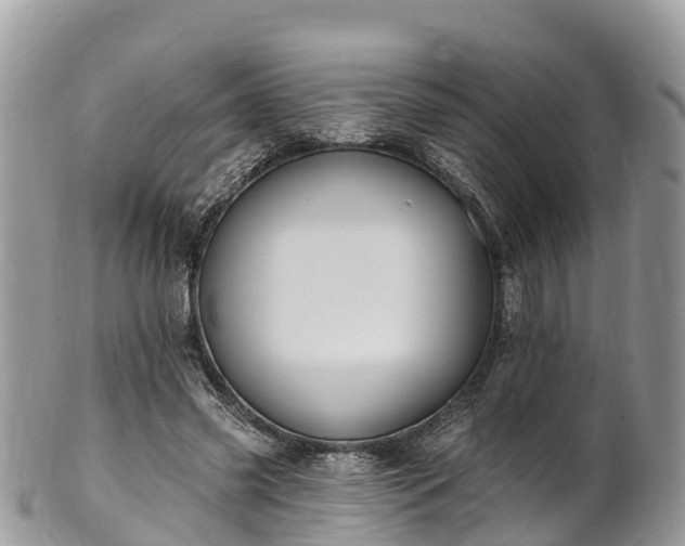 X0000101180541200807071247