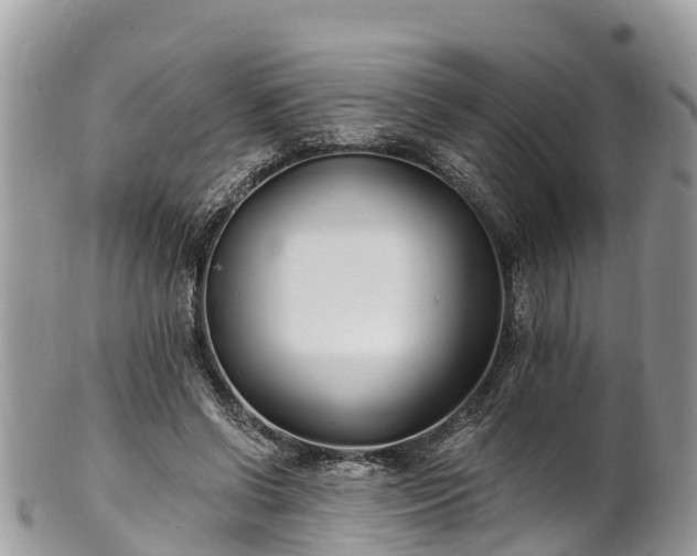 X0000101180542200807071248