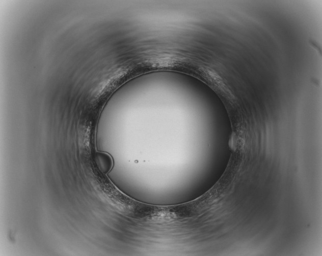 X0000101180543200807071248