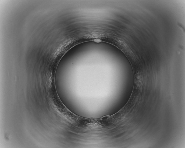 X0000101180544200807071248