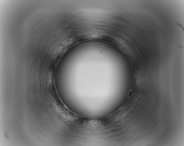 X0000101180546200807071248
