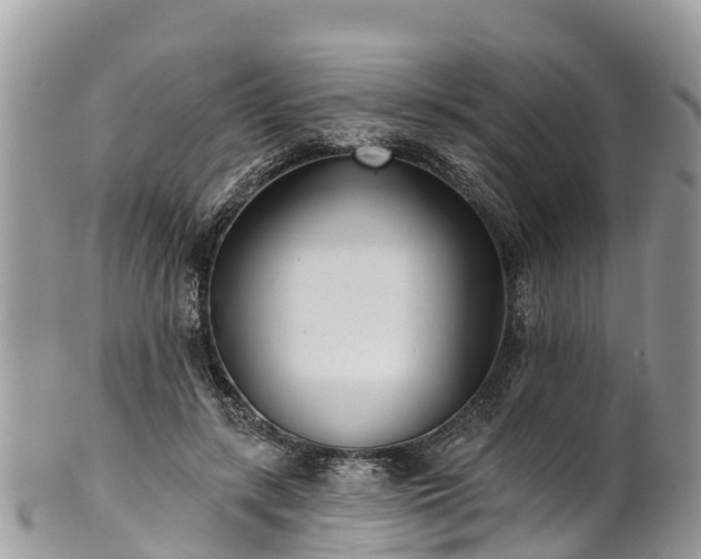 X0000101180547200807071248