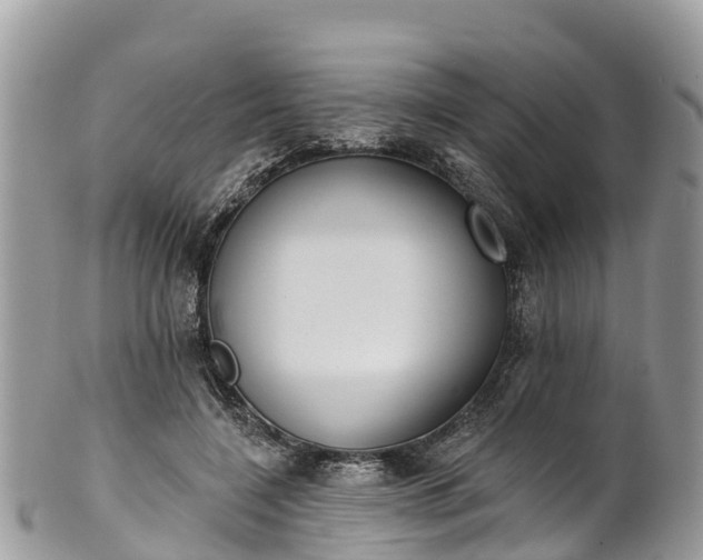 X0000101180548200807071248